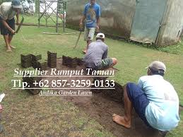 Jika kalian menambahkan taman, kalian bisa istirahat di situ dari kecapekan aktivitas seharian. Biaya Rumput Taman Tlp 62 857 3259 0133 Medium