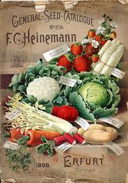 What Most Of These Home Gardeners Don T Realize Is That Corporate Behemoth And Gmo Titan Monsanto Has Been Go Vintage Seed Packets Seed Catalogs Seed Packaging