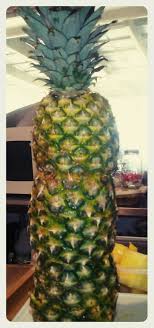 Well known palm trees are: Fruit Tray For A Party A How To Icookforleftovers