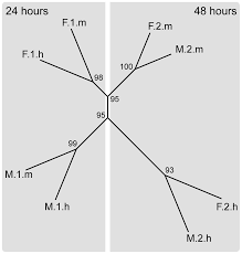 Maybe you would like to learn more about one of these? Location Specific Responses To Thermal Stress In Larvae Of The Reef Building Coral Montastraea Faveolata