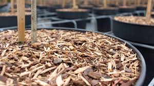 A wide variety of wholesale potting soil options are available to you, such as classification, style, and state. Bvb Substrates Horticontact