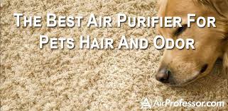 Best air purifiers for pet's dander, odor and hair. Best Air Purifier For Pets 5 Reviewed In 2021