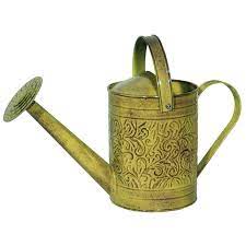 Robert Allen Topaz 1 Gal Metal Morgan Watering Can In 2021 Watering Can Metal Watering Can Metal