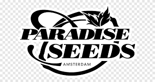 Amsterdam seed company safe & reliable seed bank. Seed Bank Png Images Pngegg