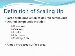 Growing animal cells taken from live tissues under laboratory conditions. Scaling Up Of Monolayer Cells Ppt Download