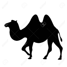 You can find more camel clip arts black and white in our search box. Cartoon Camel Vector Illustration Black Silhouette Profile Royalty Free Cliparts Vectors And Stock Illustration Image 115527690