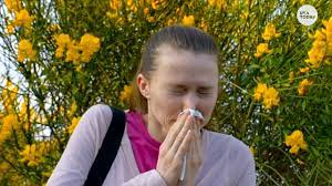 Prevention Is That Runny Nose Seasonal Allergies Or Covid 19