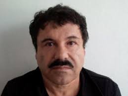 El chapo escapes prison and gets the government to back him as leader of a cartel federation. 0n1dqpykjcygnm