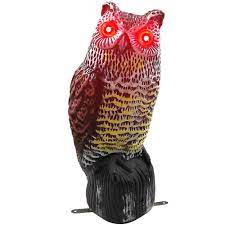 Gambar burung hantu mata merah. Mata Yang Menyala Menakutkan Dan Suara Yang Menakutkan Bertenaga Matahari Dan Gerakan Predator Realistis Dapat Mengusir Stres Dan Mengusir Burung Buy Burung Hantu Menakutkan Menyala Mata Solar Burung Orang Orangan Sawah Burung