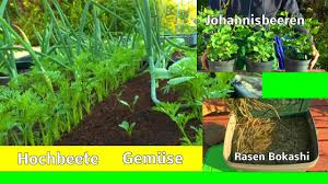 Wählen sie mein schöner garten abo, kalender & bücher, angebote aus dem verlag. Garten Und Kanal Inspirationen Mein Schoner Garten Sehen Und Entdecken Der Vielfalt Und Moglichkeite Youtube