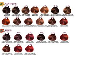 28 Albums Of Lk Hair Colour Chart Explore Thousands Of