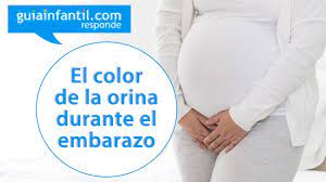 Los Cambios En El Color De La Orina De La Mujer Embarazada Guiainfantil Responde Youtube