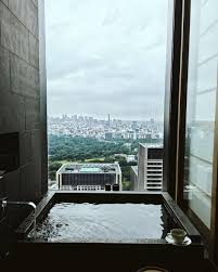 View From Hotel Bath In Tokyo Japan Wanderlust Japan Tokyo Hotels Japan Honeymoon Japan Travel