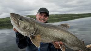 Cyril chauquet is a french television host born in 1976.1 he is the producer and host of the television series chasing monsters, an adventurous fishing related show where viewers follow his adventures in for faster navigation, this iframe is preloading the wikiwand page for cyril chauquet. Cyril Chauquet
