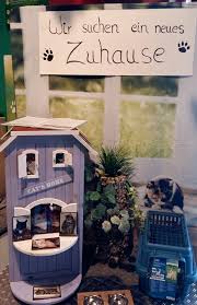 Tiere suchen ein zuhause | video der sendung vom 18.07.2021 16:00 uhr (18.7.2021) mit untertitel Tierschutz Gronau Wir Suchen Ein Zuhause