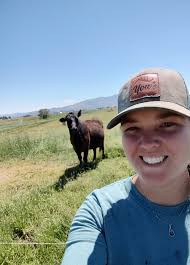 Looking for a semi retired sheepdog that knows it's job ideally a farm type  not trial bitch preferred but open to dogs good forever home any thing  that's looking for a quieter