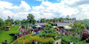 Ya datang saja main ke air terjun. Sejuk Dan Indahnya Kebun Teh Cipasung Majalengka Jawa Barat
