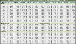 15 described navy reserve drill pay chart