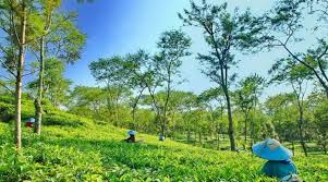 Published 13 mei 2014 by yanti amelia. Latifa Page 5 Ong Seong Woo