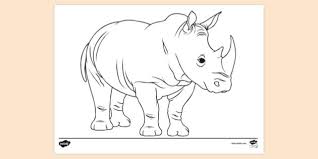 Each color scheme contains the html color codes you will need when coding your website template. Free Rhino Colouring Sheet Primary School Twinkl