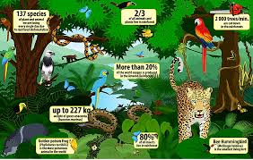 The tiger is a wild animal, which lives in the jungle where water and prey are plentiful. What Is A Rainforest Worldatlas