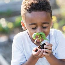 Katie Arnold Archives