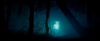 Severus, the patronus charm does not lie. All The Known Patronus Shapes For Harry Potter Characters Insider