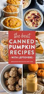 The Best Recipes Using Canned Pumpkin In 2021 Healthy Snacks Recipes Healthy Recipes Easy Snacks Pumpkin Recipes Quick