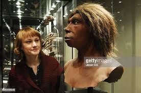 871 Neanderthal Photos and Premium High Res Pictures - Getty Images