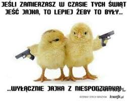 mem o jajku