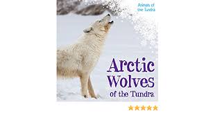 Arctic Wolves Of The Tundra Animals Of The Tundra Christopher Nick 9781534522305 Amazon Com Books
