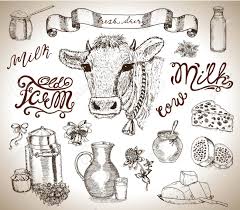 Tête de vache morte style tatouage mandala crâne de buffle dornement décoratif art indien indigène illustration vectorielle en noir et blanc. Ensemble De Conception Avec Tete De Vache Lait Produits Laitiers Banniere Et Lettrage Gravure De Vecteur Vintage Illustrations Dessin Dessinees A La Main Pour L Etiquette Affiche Concept De Ferme Rurale Clip Art