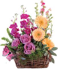What separates piano's from other florists in memphis, tennessee is our 100% satisfaction guarantee. Occasions Piano S Flowers Gifts Inc Memphis Tn