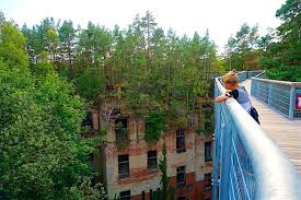 Mit über 700 metern bietet der baumkronenpfad den besuchern jetzt völlig neue ausblicke und perspektiven auf die beelitzer heilstätten. Der Baumkronenpfad Beelitz Heilstatten Lost Places Von Oben