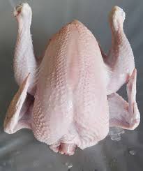 I normally raise cornish x rock for my meat chickens. Why Raise Cornish Cross Chickens Cackle Hatchery