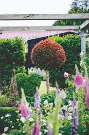 They tend to suit those who don't like to be restricted to plant choice, straight lines and formality. A Charming One Woman Diy Cottage Garden Stuff Co Nz