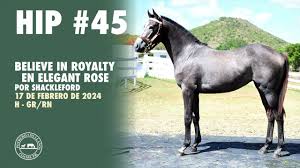 Image result for tbn:tVj6rqcH-AQR9M::www.pregonagropecuario.com.ar/images/caballo_overo.jpg
