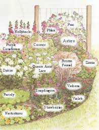 But if you want to create a butterfly garden that will act as a sanctuary, attracting a wide variety of butterflies while also providing a place where butterflies can grow and multiply, you will first need some simple planning. Butterfly Garden Plans