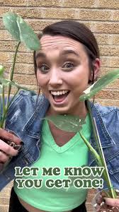 Bros with Hose Plant Co Reviews