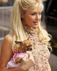 Top 25 Paris Hilton Hairstyles Pretty Designs Paris Hilton Paris Hilton Hair Hair Styles