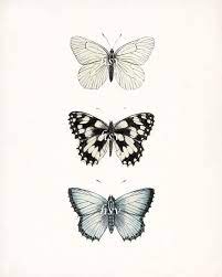 Vintage Butterfly Collection Butterfly By Highstreetvintage Butterfly Illustration Vintage Butterfly Tattoo Butterfly Tattoo