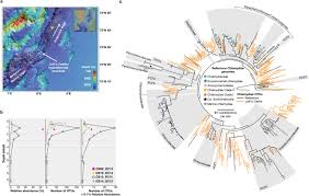 Preliminary observations have shown the warm area around the loki's castle vents to be alive with diverse and apparently unique microorganisms. Marine Sediments Illuminate Chlamydiae Diversity And Evolution Biorxiv