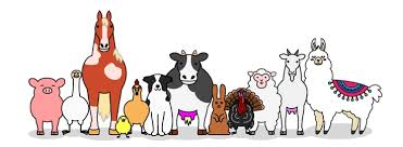 Uses parts of speech, content vocabulary and descriptive, poetic language. Week 3 Activities 4 H Animal Science