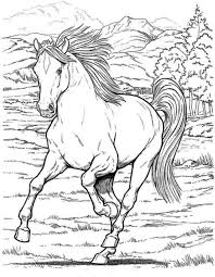 Printable Horse Coloring Pages For Adults Horse Coloring Pages Horse Coloring Animal Coloring Pages