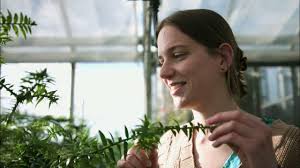 DAF Careers: Eloise and Tian