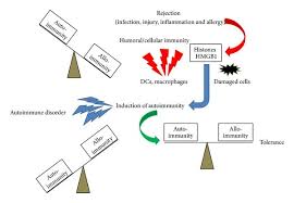 Image result for Autoimmunity