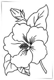 Maybe you would like to learn more about one of these? Color Lapiz Dibujos Flor Ramo Dibujos De Flores