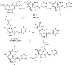 Image result for Ptaeroxylaceae