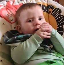 Which song is better, Simple Man or Comfortably Numb?