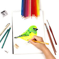 Desene artistice pictură în acuarelă creioane colorate artă pictură. Faber Castel 72 De Culoare Profesionale Solubil In ApÄƒ Creioane Colorate Pentru Artist È™coalÄƒ De Desen SchiÈ›Äƒ Pen Copii Cadou Special La Reducere Reduceri Mioritausa News